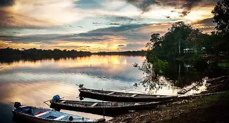 Pirogues sur les berges de lAmazonie