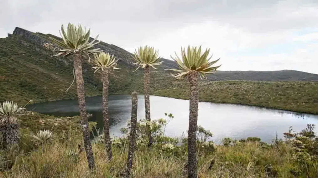 Vue de la partie haute de la lagune de Siecha