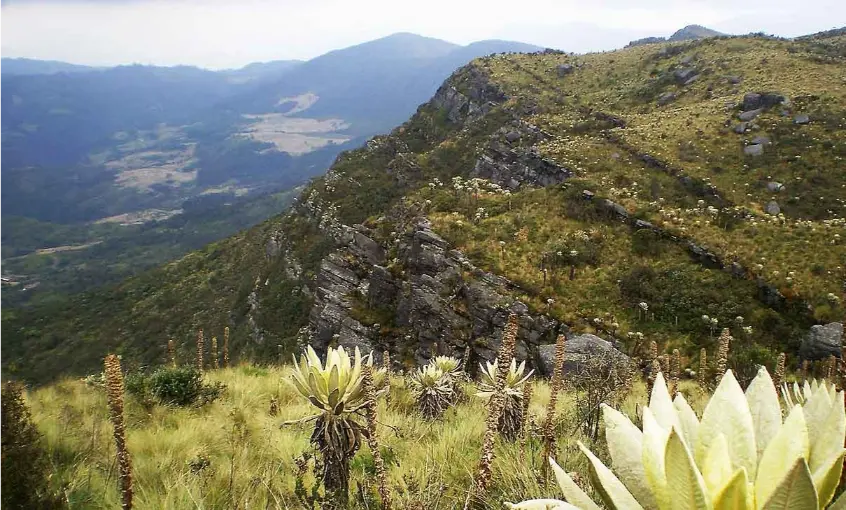 les andes - colombia adventure tour