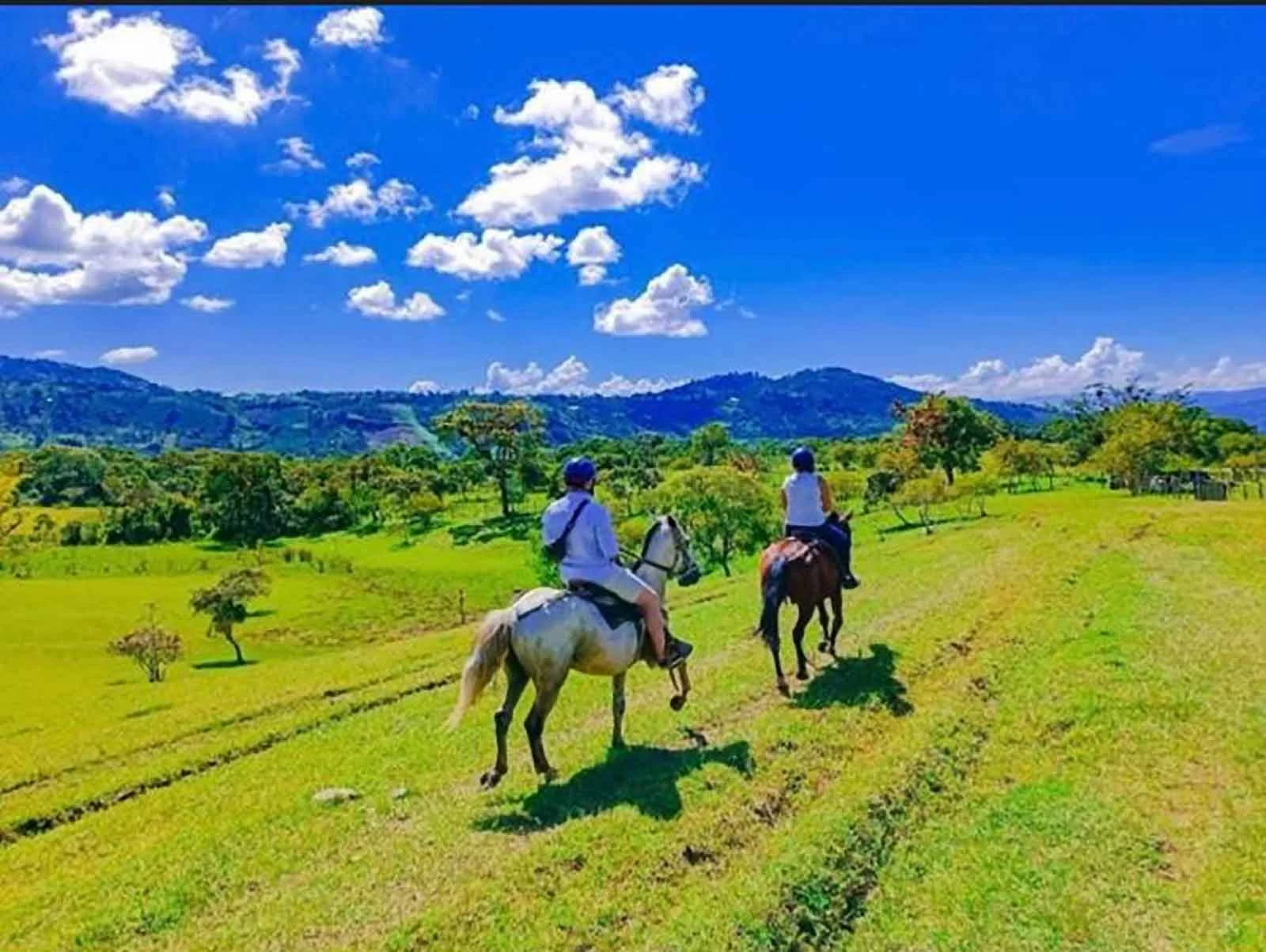 Ballade à cheval, randonnée équestre.San Agustin Colombie. nature.Tour aventure